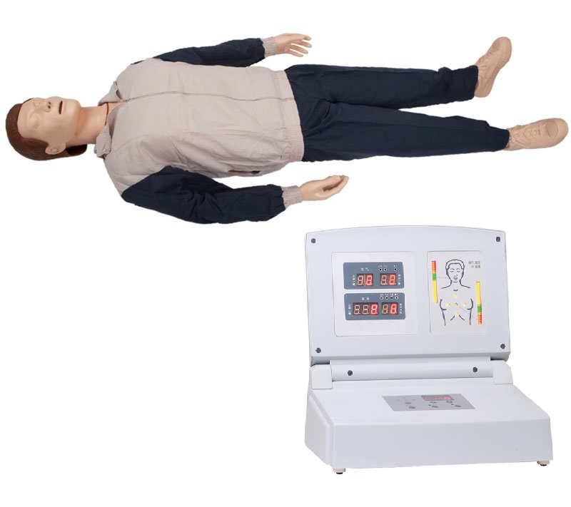 心肺急救模型