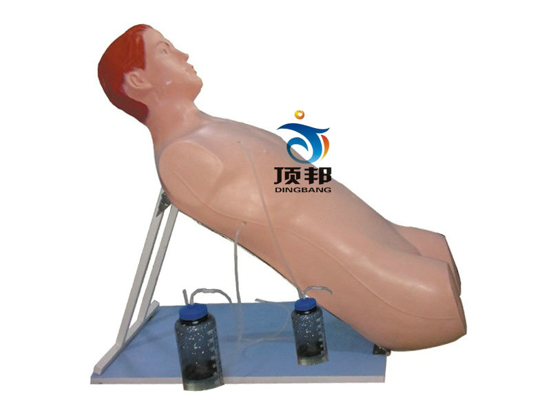 胸腔闭式引流术训练模型 