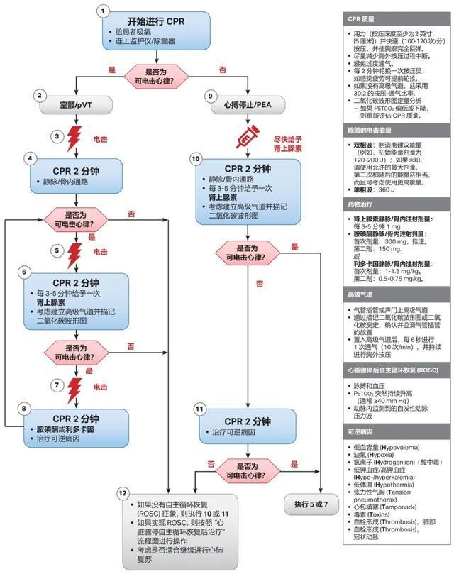 2020 AHA心肺复苏和心血管急救指南(图3) 2020 AHA心肺复苏和心血管急救指南(图3)