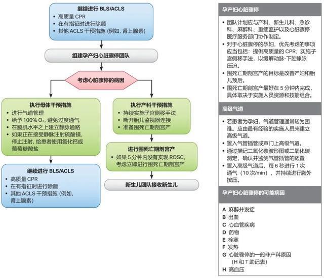 2020 AHA心肺复苏和心血管急救指南(图6)